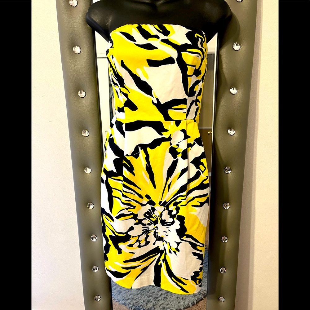 Express Tube Dress